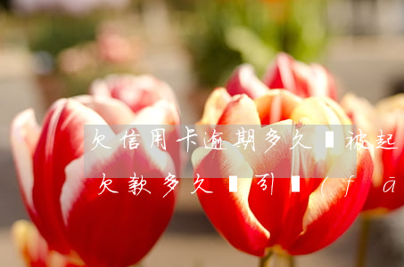欠信用卡逾期多久會被起訴，逾期還款：信用卡欠款多久會引發(fā)法律訴訟？
